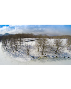 Bosco invernale dei Nebrodi. Panorama dal drone